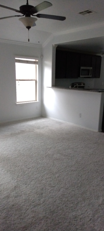 Photo - 176 Housefinch Loop