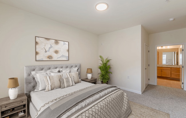 Photo - Shannon Reserve 55+ Apartments