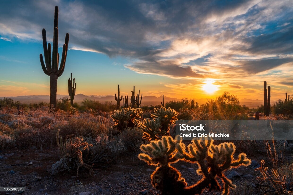 Photo - 1942 E Pebble Beach Dr (Tempe, AZ)
