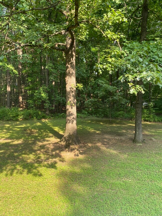 Photo - 2117 Parsonage Ln
