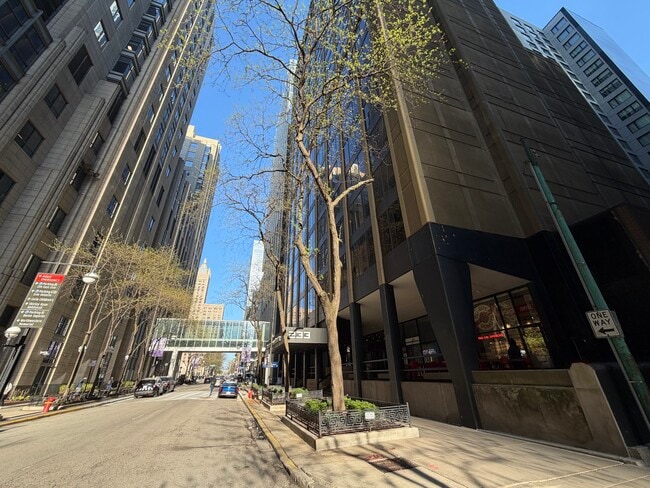 Building Photo - 233 E Erie St