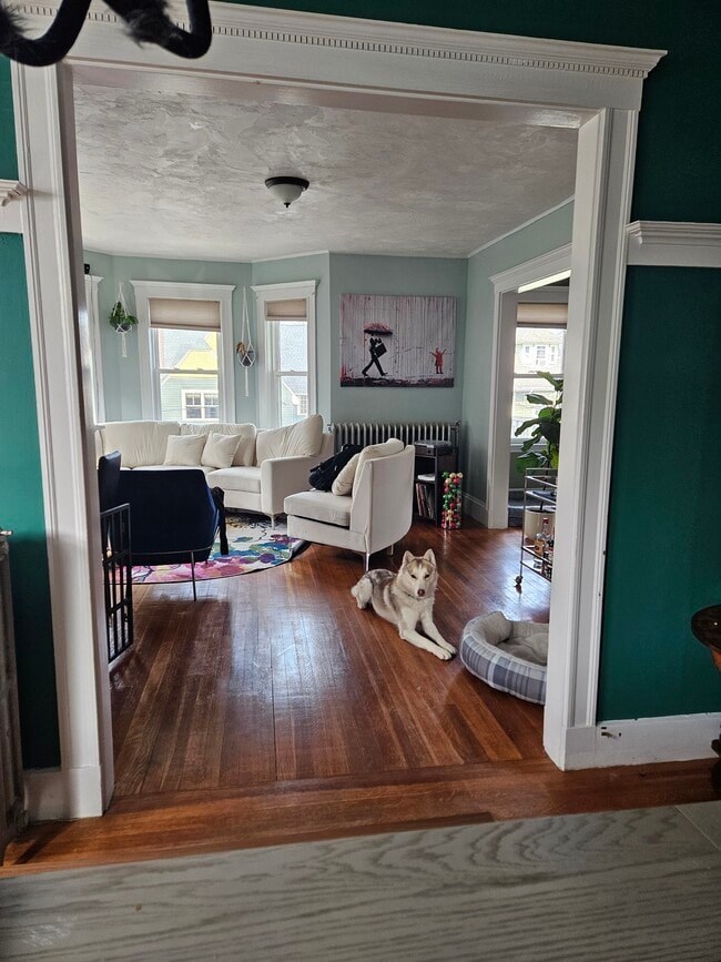 Photo - 29 Tremlett St Unit 2
