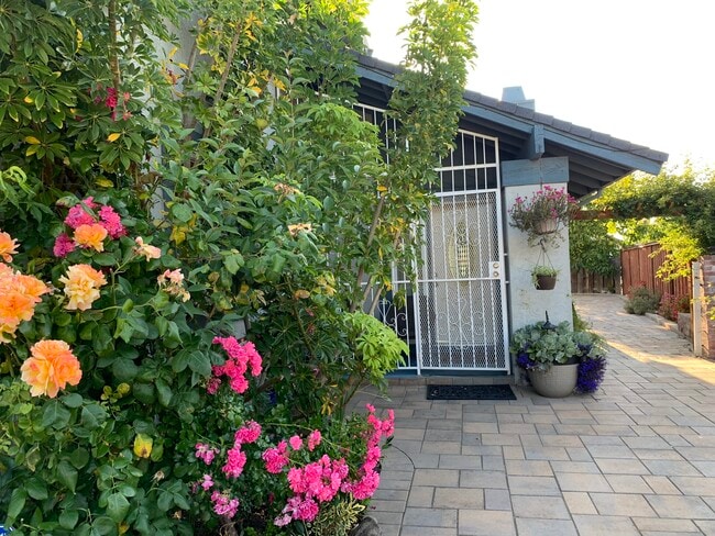 Main Entrance - 3137 Larchmont Ln