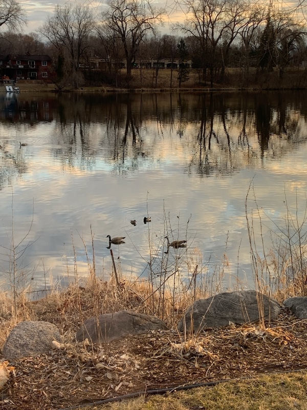 Photo - 5 Round Lake Trail