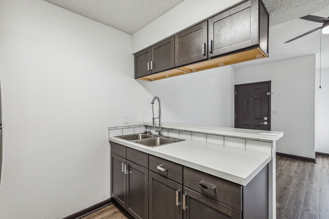 Photo - The Papillon