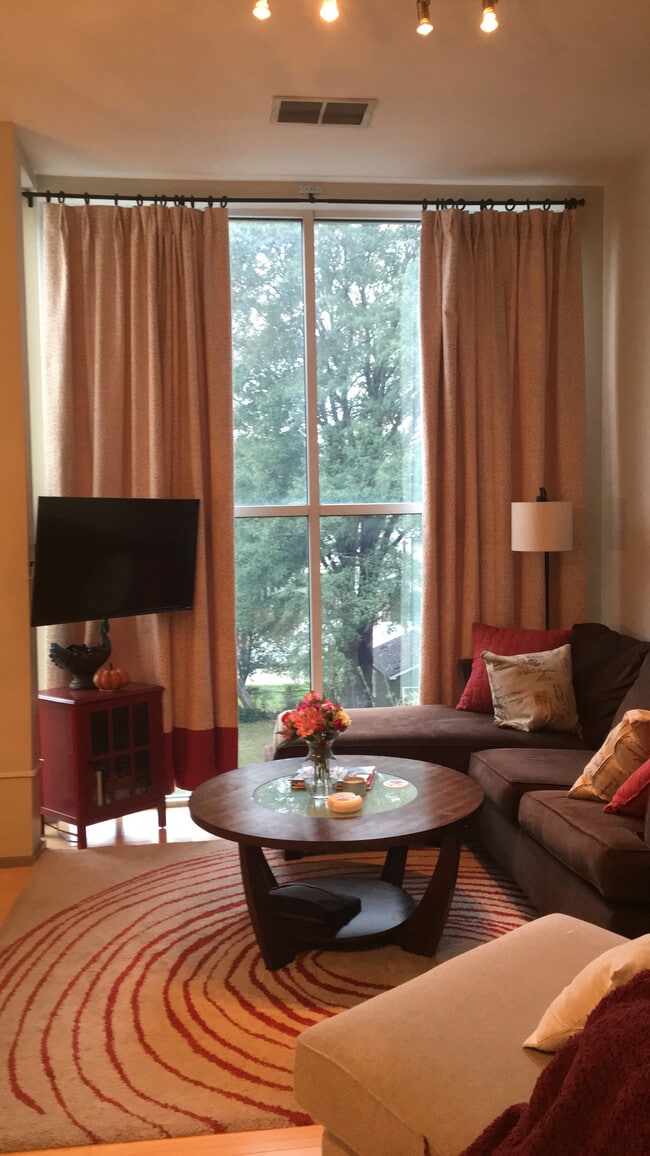 Floor to ceiling windows in the main living space.