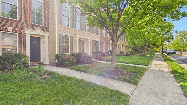 Photo - 25807 Turlough Ter