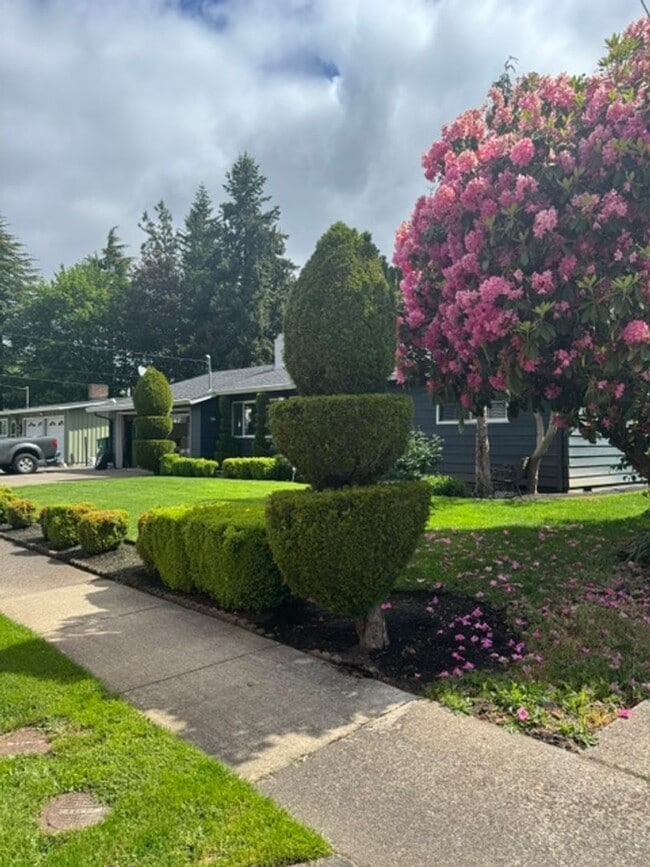Photo - ?Lovely 3bed/2bath Ranch style home with HUGE private yard in ?