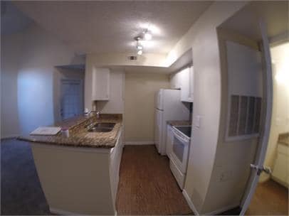 413 Fountainhead Cir