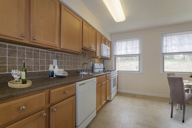 Photo - Elkins Park Gardens