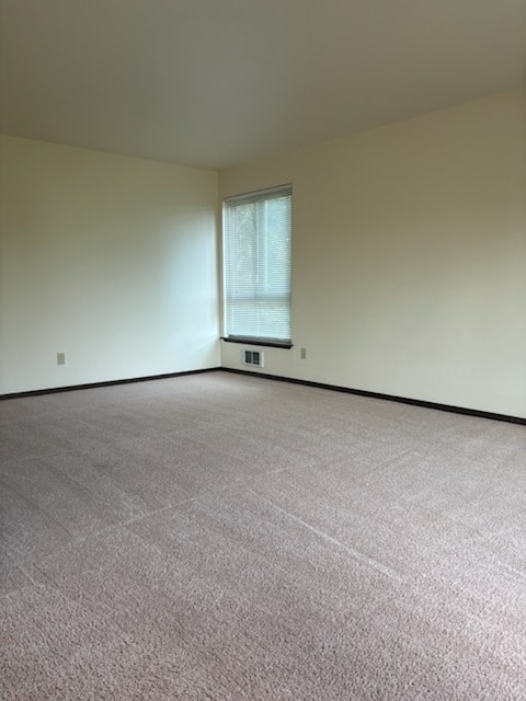 living room window