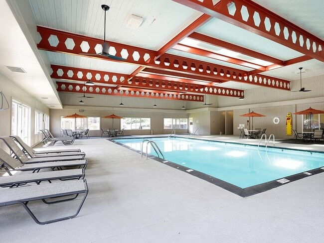 Enjoy Swimming Year Around!