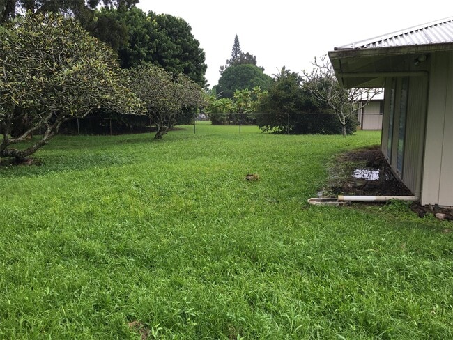 Photo - 66 Makalani St