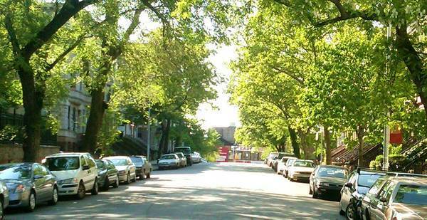 Photo - 463 W 159th St