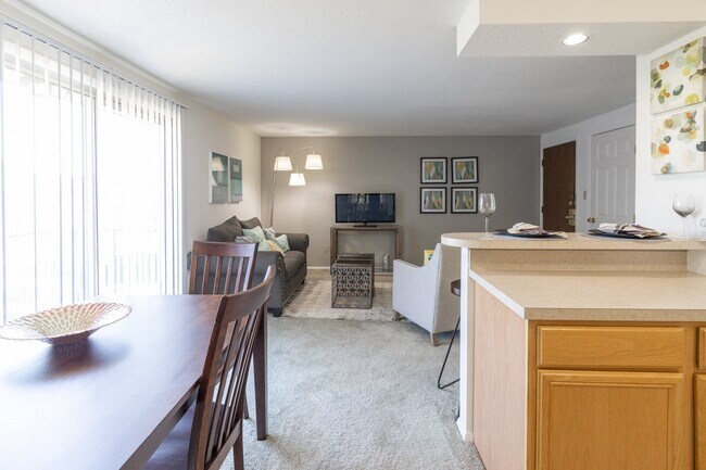 1 Bedroom 1 Bathroom Living Room at Ashmore Trace Apartment - Ashmore Trace