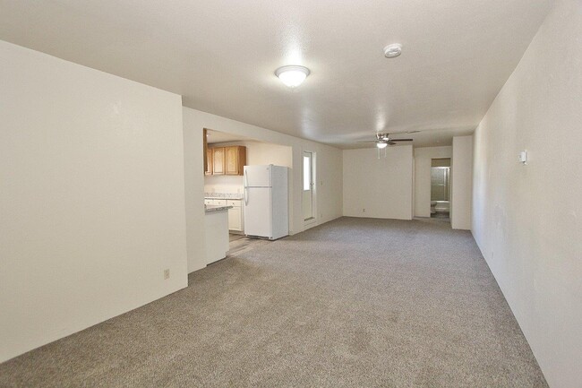 Photo - 705 Williams Rd