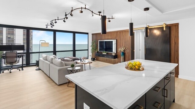 Photo - 900 N Lake Shore Dr