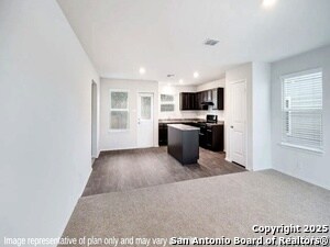 Photo - 15315 Olive Pigeon