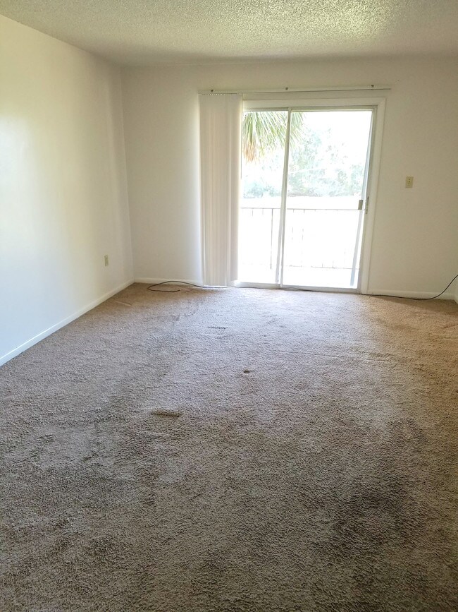 Photo - Palm Lake Apartments