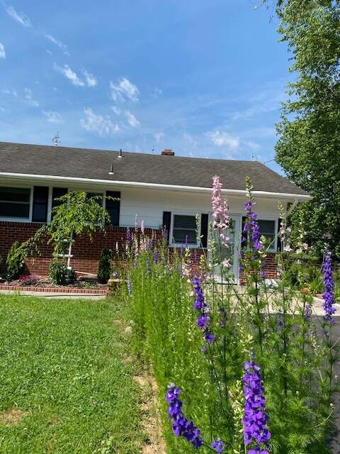 Photo - 113 Malone Ave