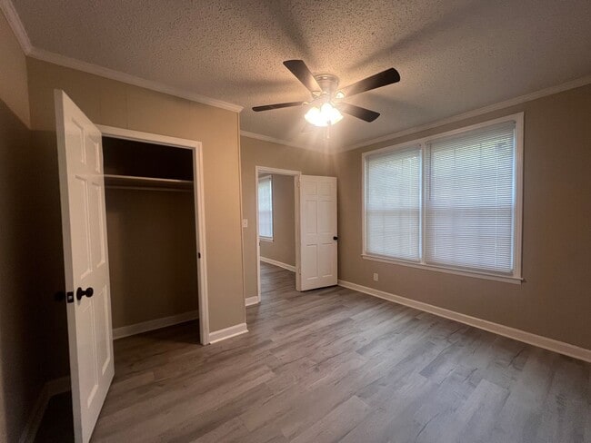 Photo - AVAILABLE TO SHOW!