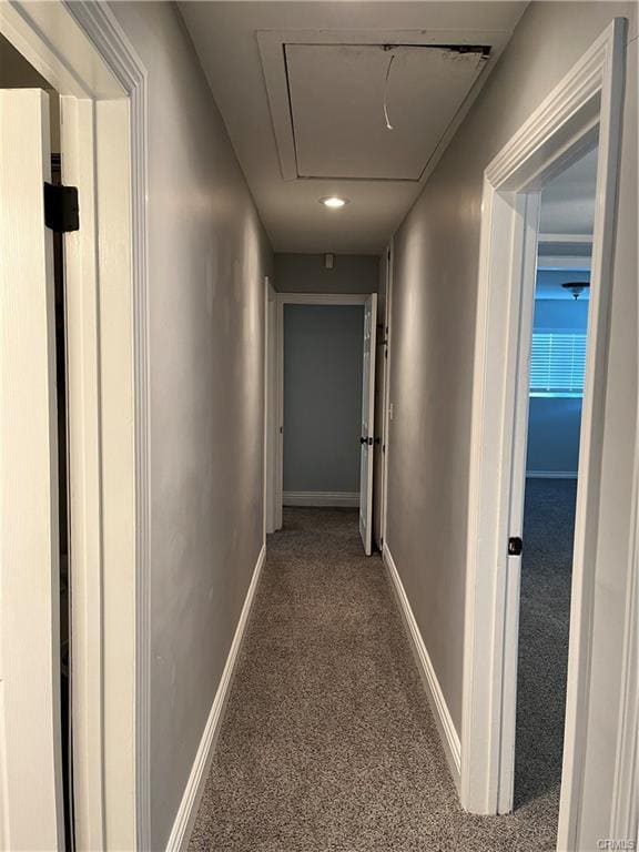 Photo - 800 N Tropicana Way