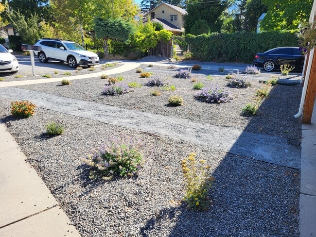 front yard with flowers in the summer - 3224 S Verdant Cir