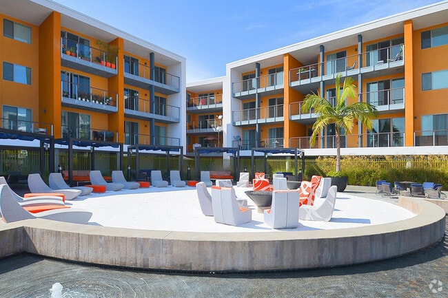 Photo - Stella - New