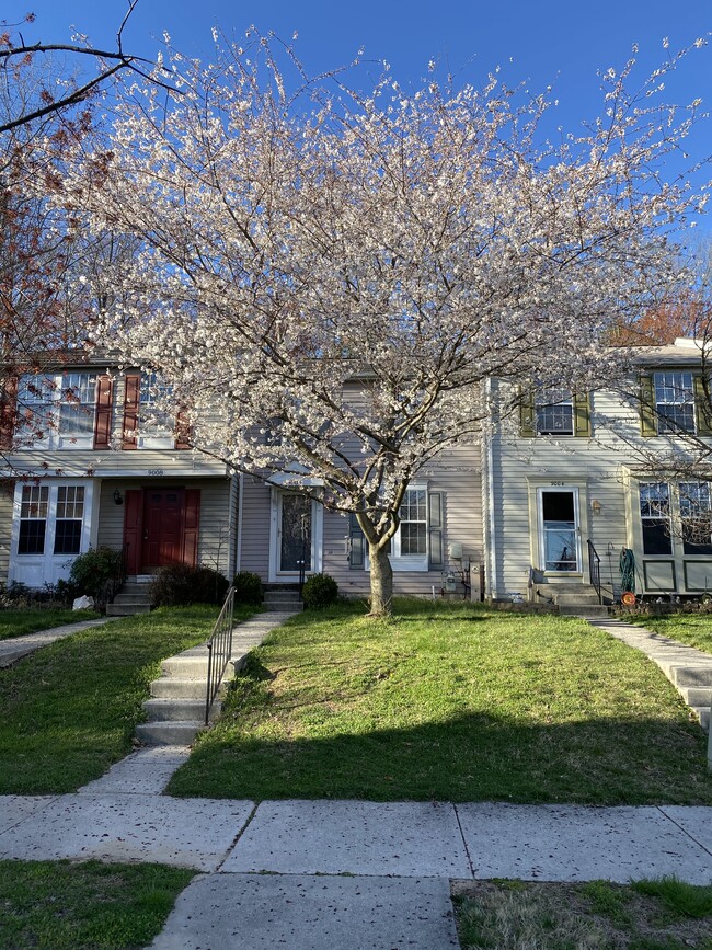 Building Photo - 9006 Old Scaggsville Rd