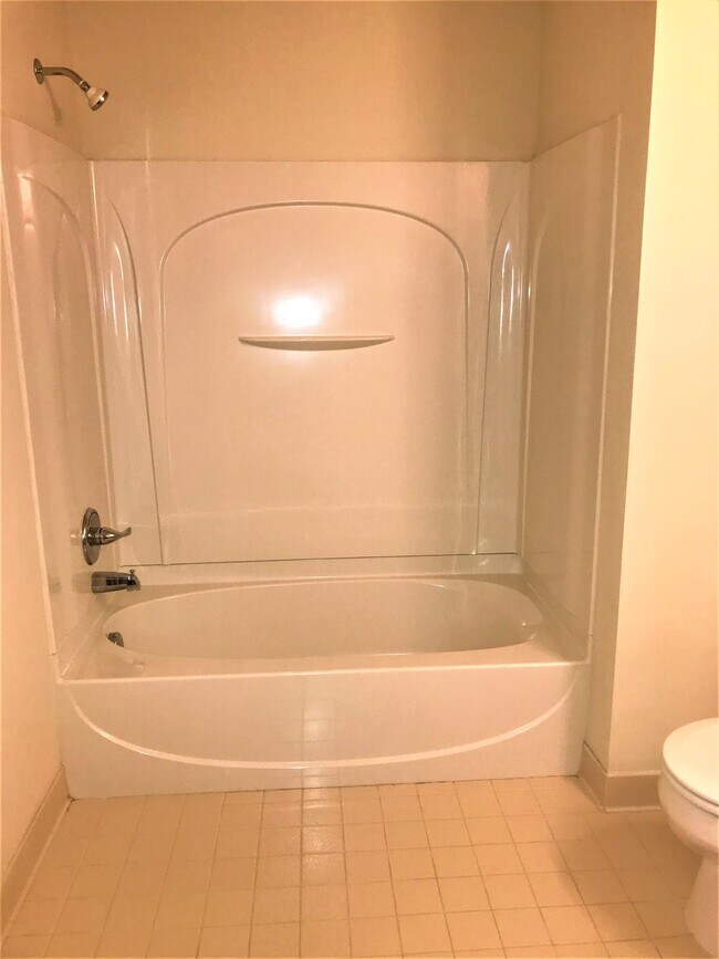 Fabulous Tub/Shower