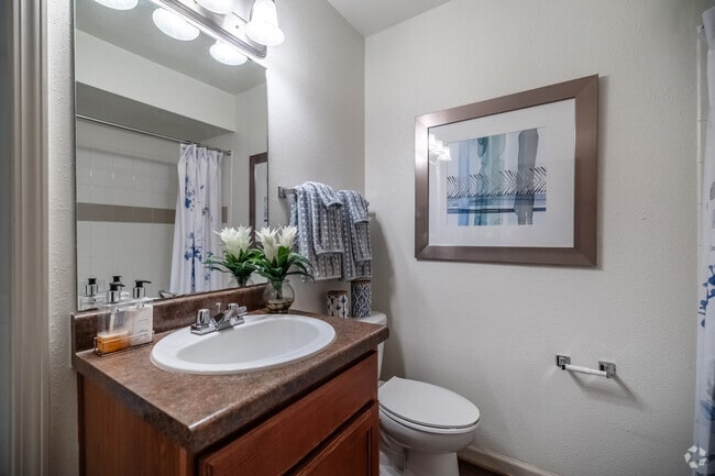 1BR, 1BA - 846SF - Bathroom