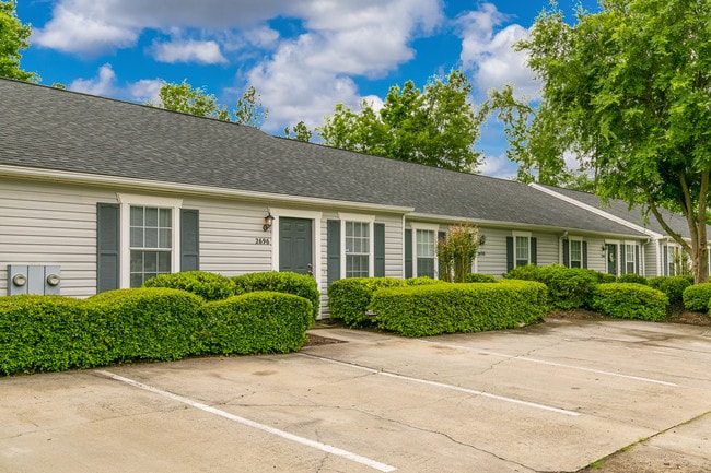 Photo - Lory of Augusta