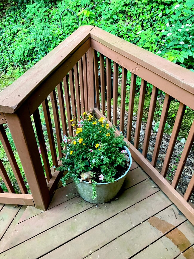 Photo - 38 Bulldog Ln