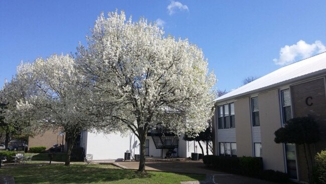 Photo - 246 White Bridge Pike Unidad 246 Segoide - A10