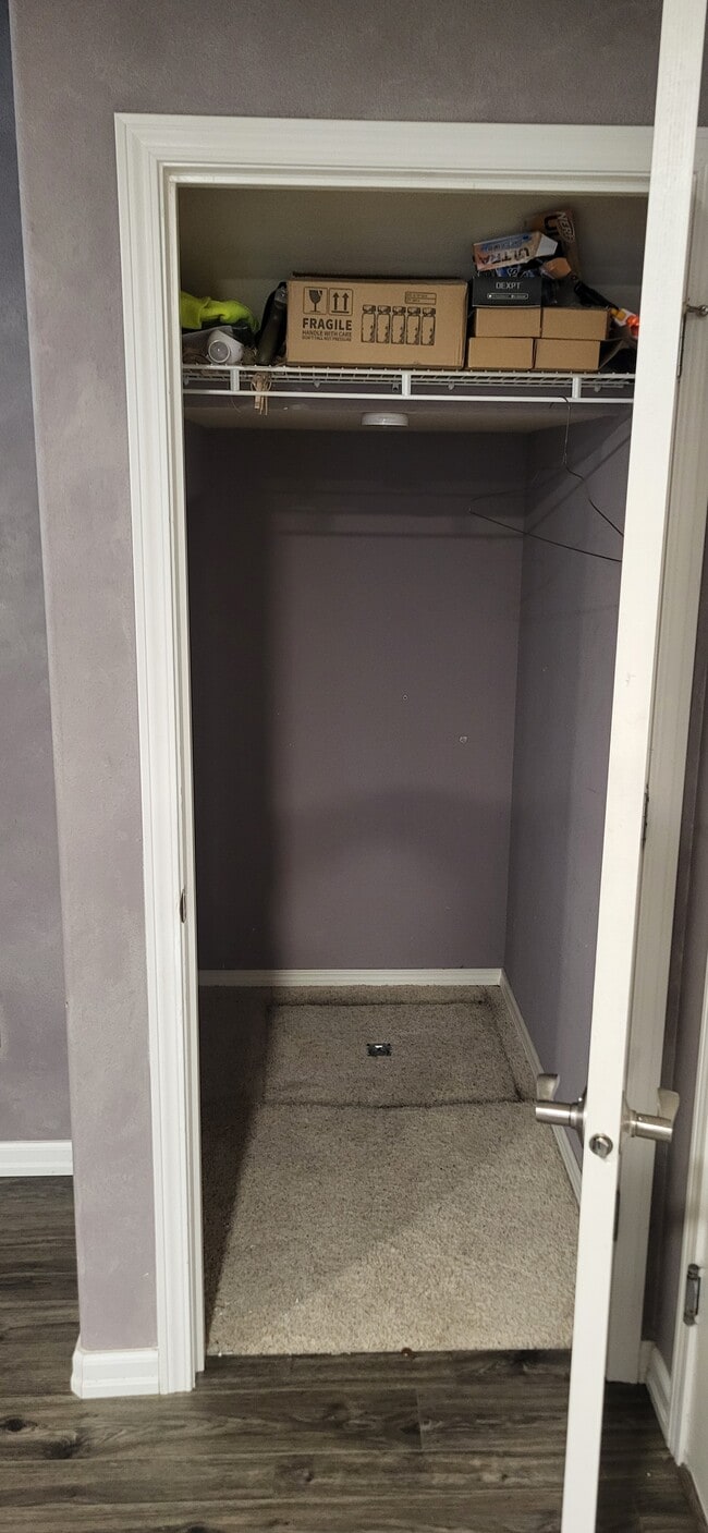 Second Downstairs Closet
