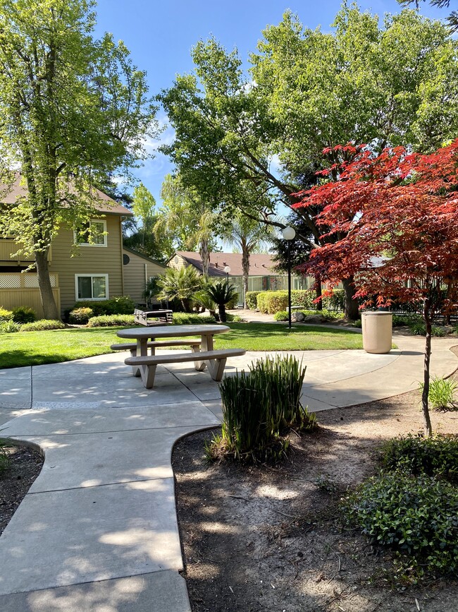 Valley Oak Apartments For Rent in Modesto, CA