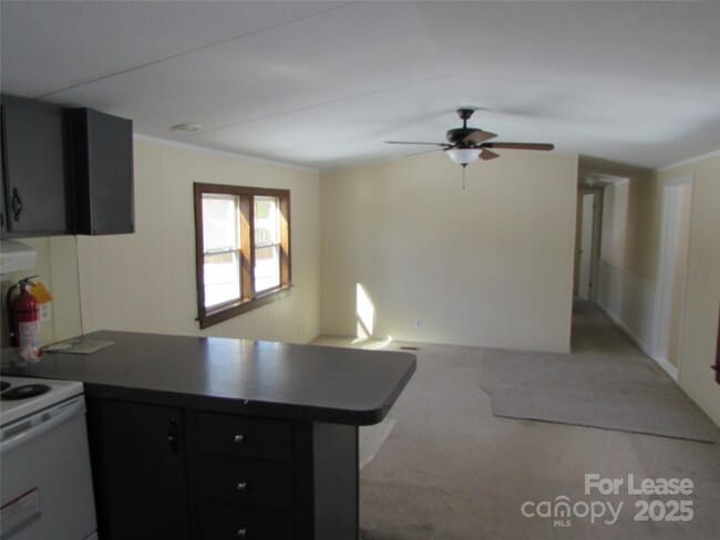 Photo - 116 Tulip Tree Ct