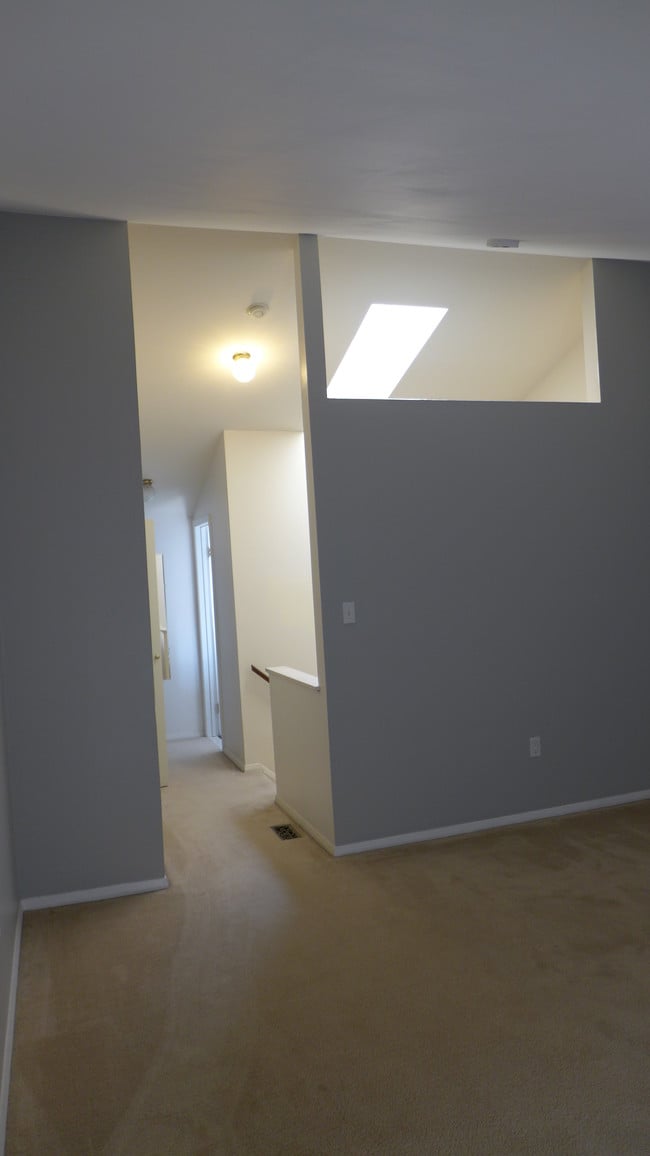 Building Photo - 24 N Wolfe St Rental