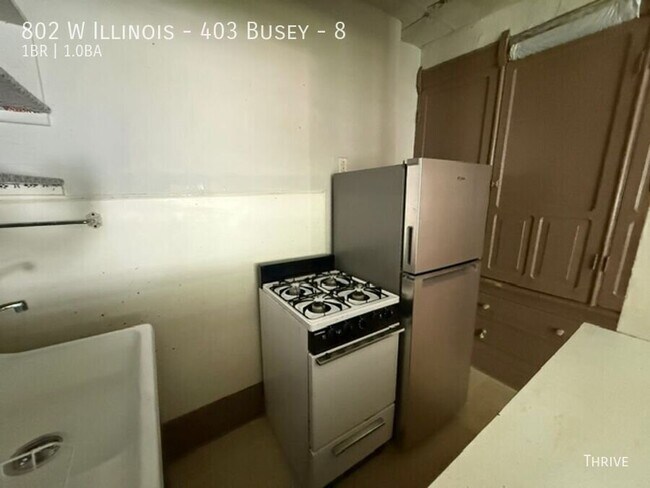 802 W Illinois St Unit 8