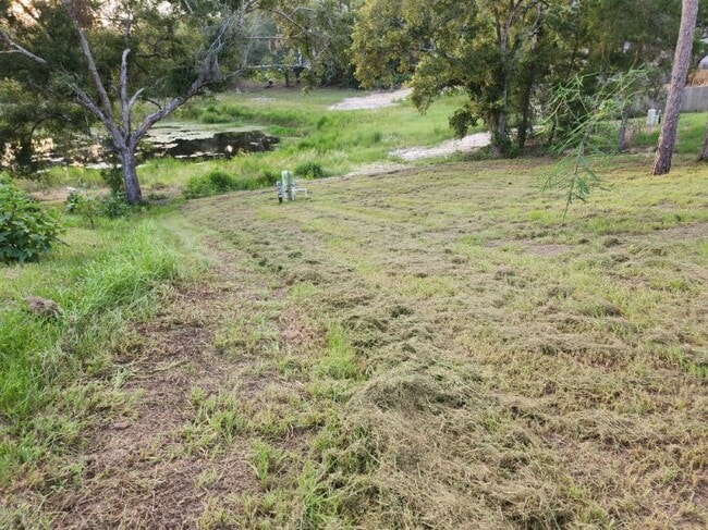 Photo - 26 Malauka Cir