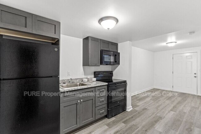 Photo - 725 E College St Unit 725 E College Street  1