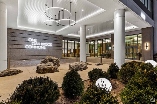 Building Photo - One Oak Brook Commons Rental