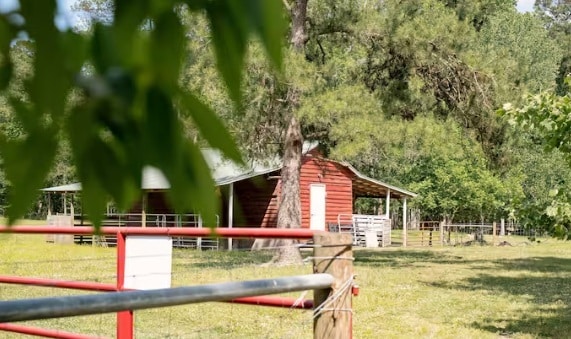 Photo - Lavender Cottage