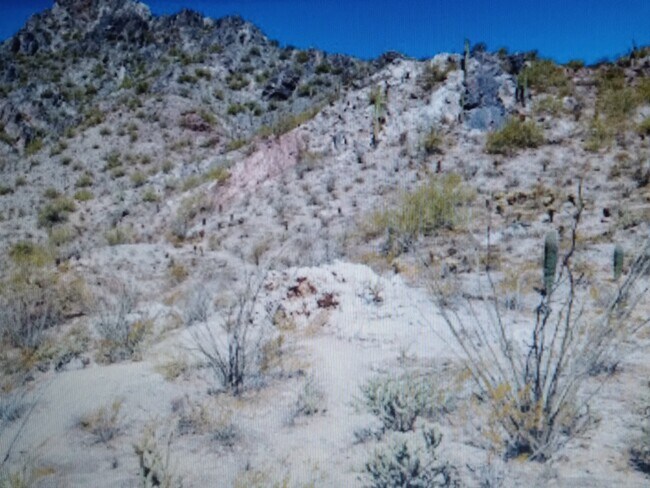 Photo - 6734 N 19th St