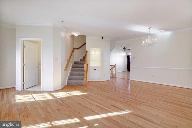 Photo - 409 Phelps St