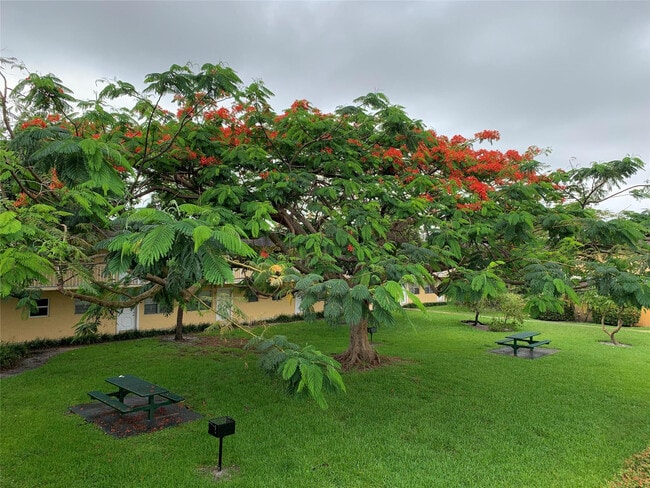 Photo - 5168 NE 6th Ave Unit 429