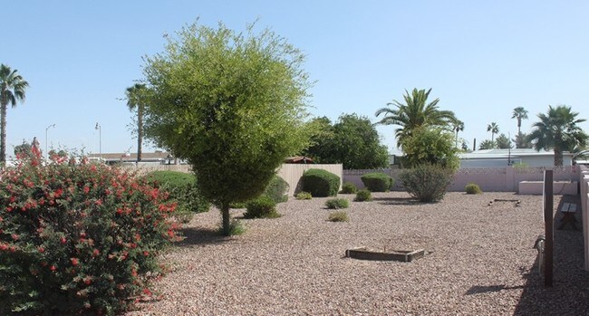 Photo - Whispering Palms