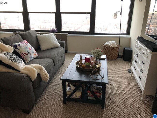 Photo - 1560 N Sandburg Ter Unit 3709