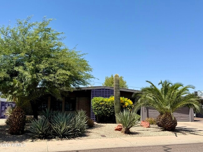 Building Photo - 3702 E Paradise Dr
