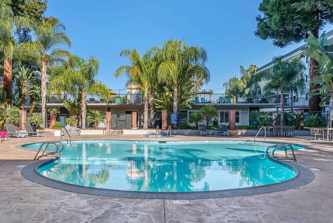 Building Photo - Regency at Mountain View Rental